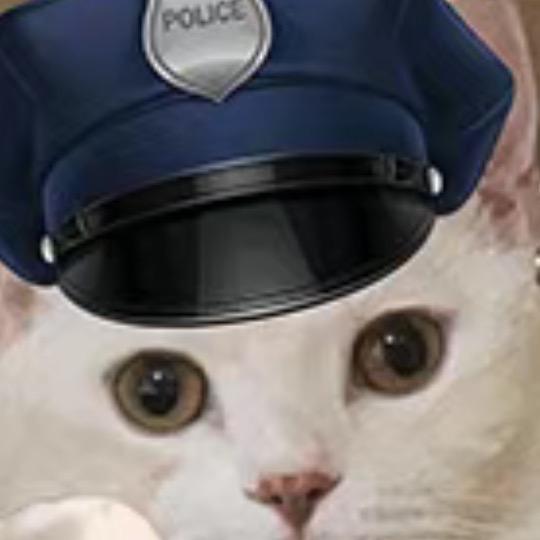 Simi2021