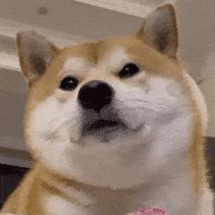半熟芝士味