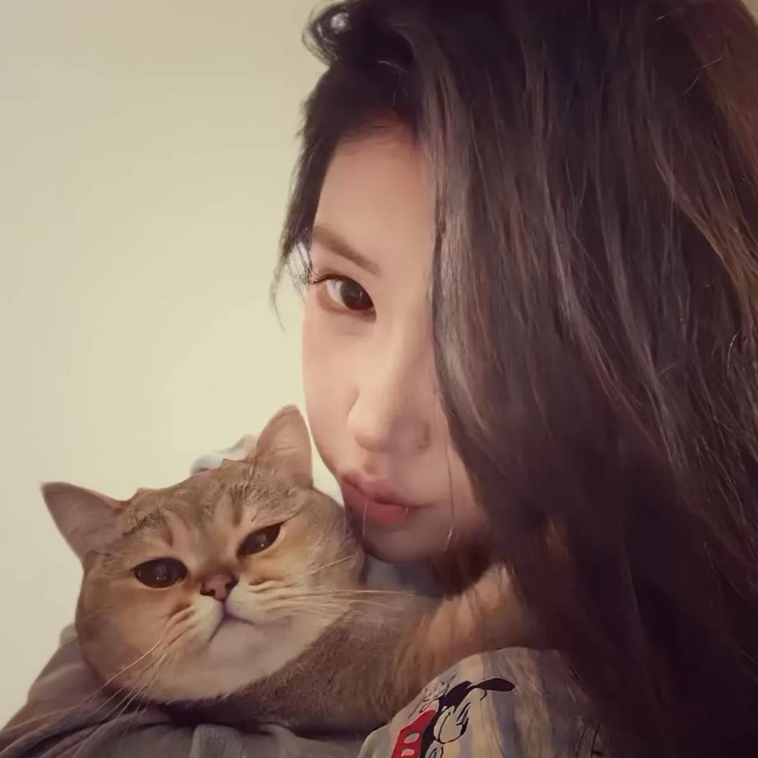 等风停^o^