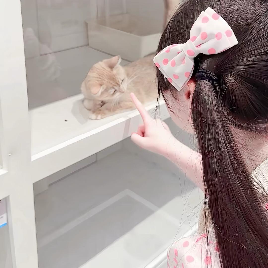 既往不咎