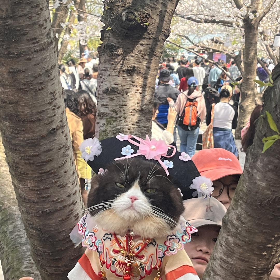 湖南如驿公寓管理有限公司