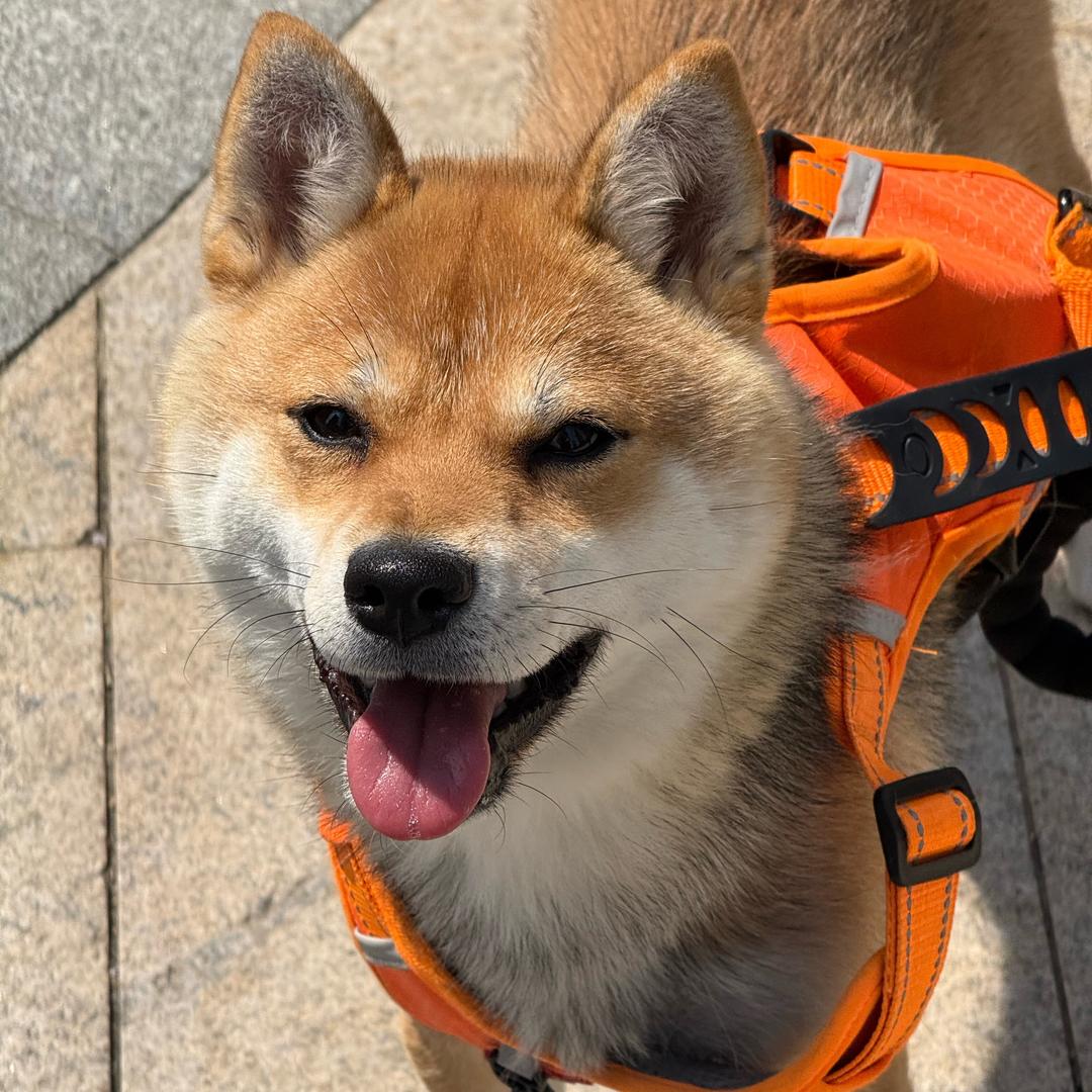 怎样练成
