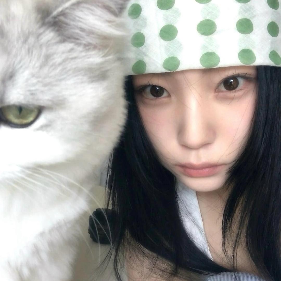 zppp