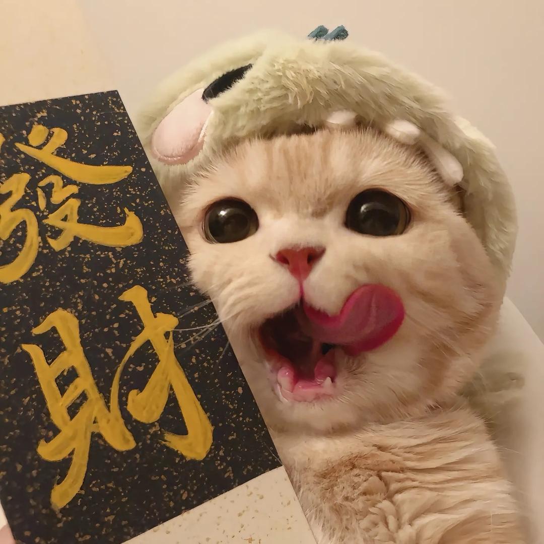 一份小猫堡.