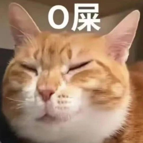 算什么西瓜🧊
