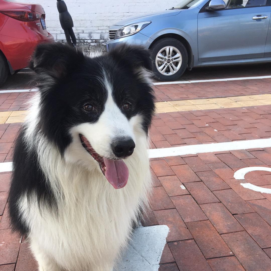 翠小旺