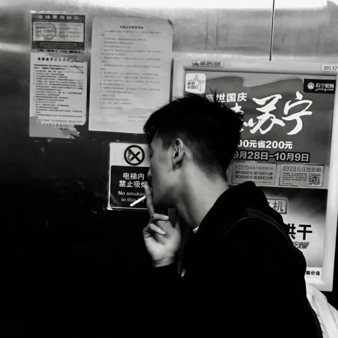 风也想要自由
