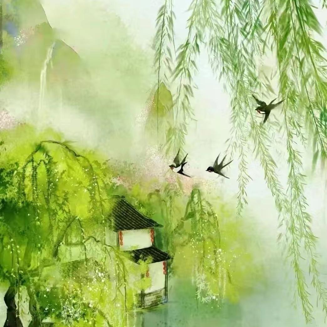 Y.yan