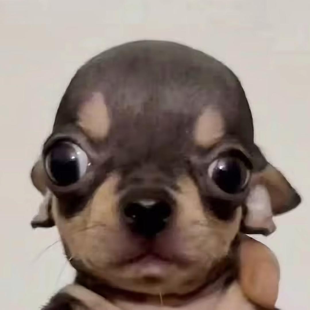 用户Ssssr