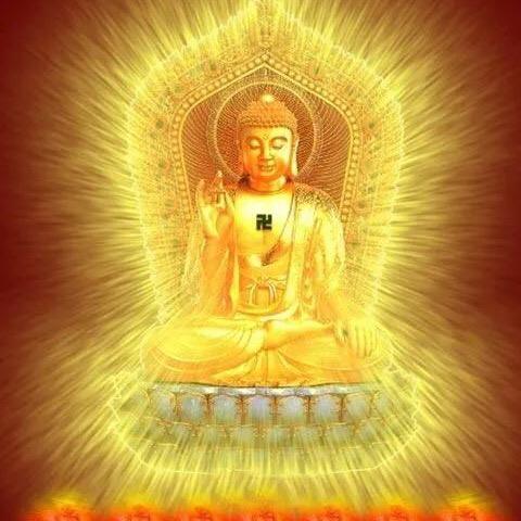 ✔财富自由✔