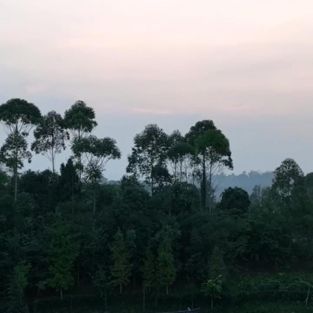没有视野头像