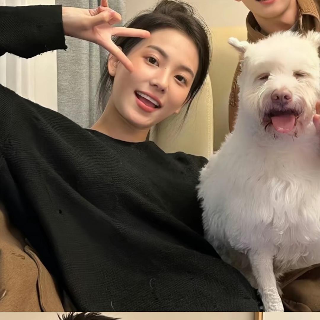 幸运草🍀（月子中）