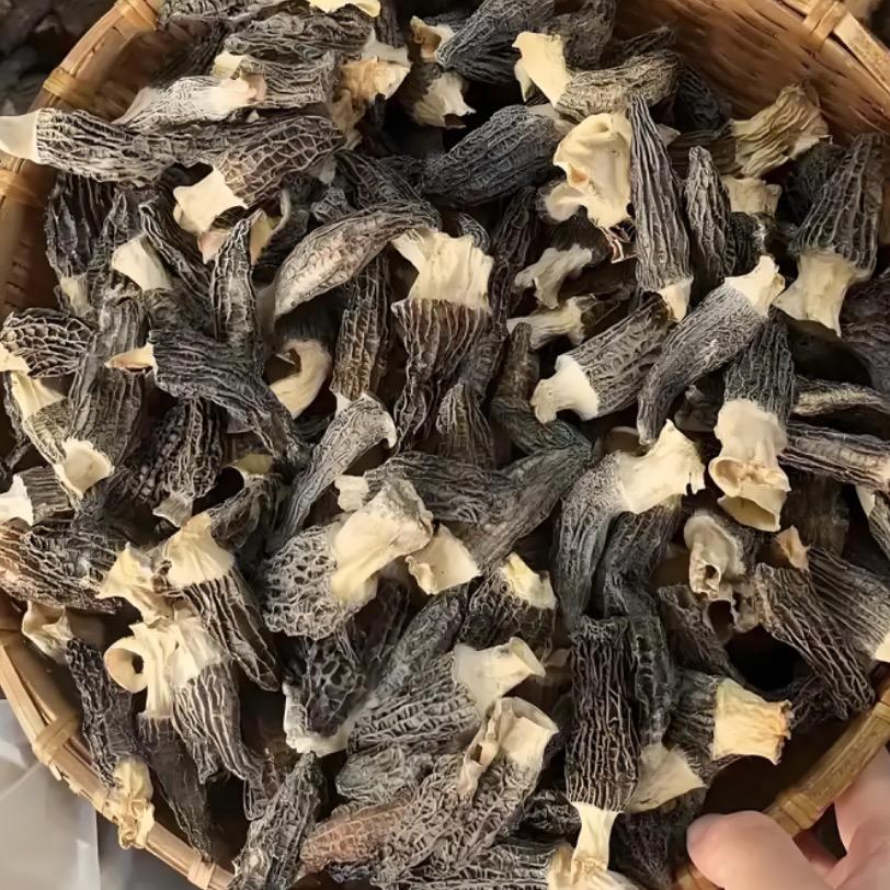 新农人-零露兮的头像