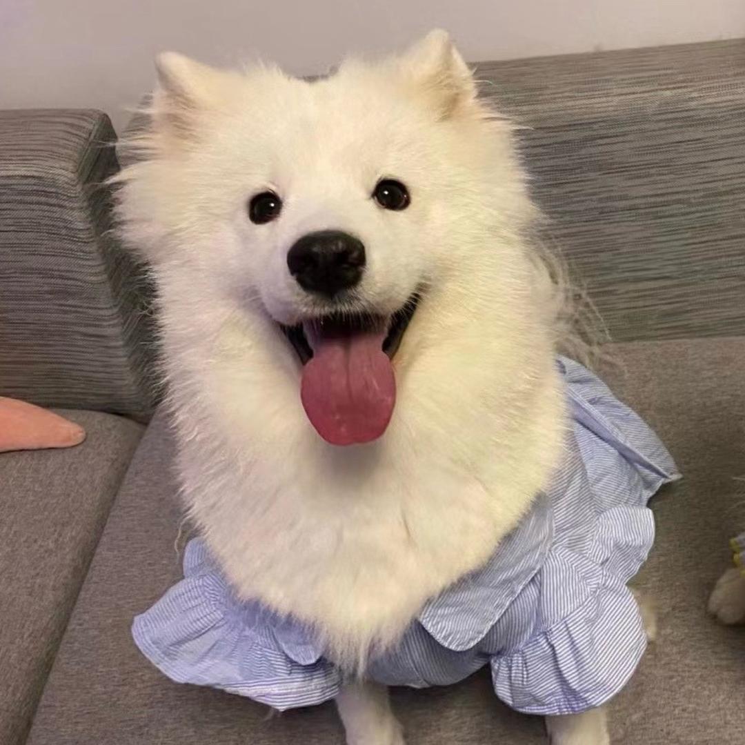 想想