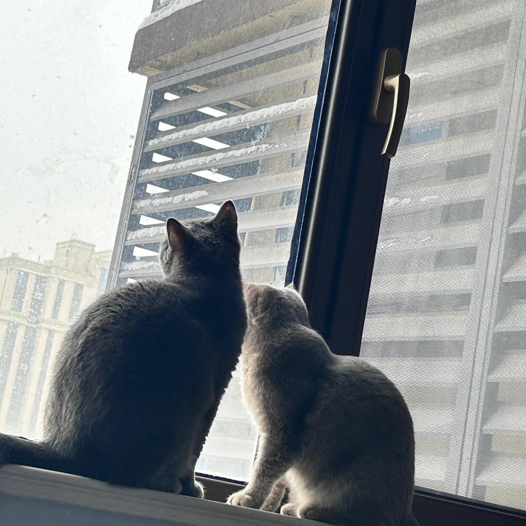 久悦.