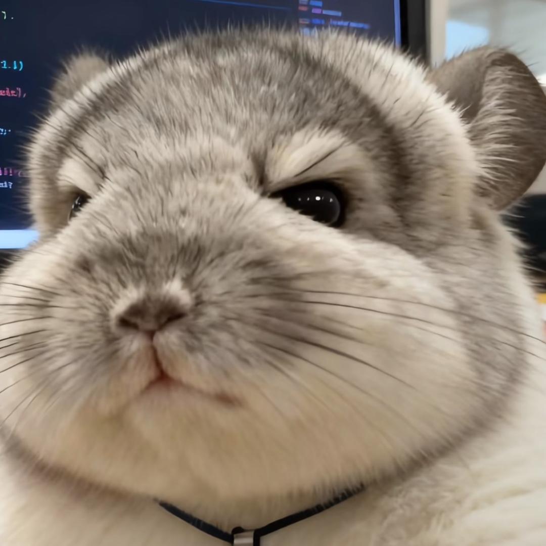 盖世小鼠(训狗版