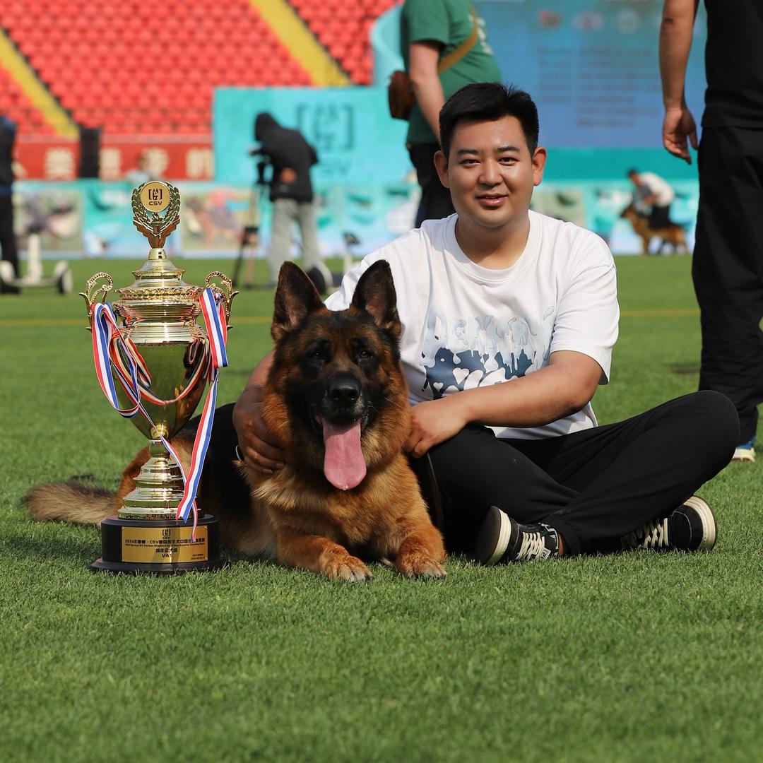 CSV德通犬舍～德牧
