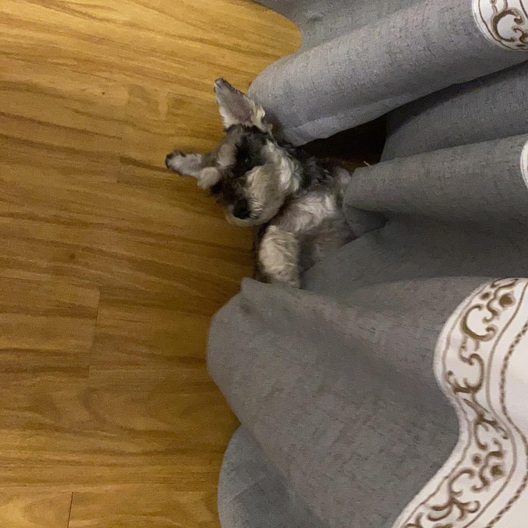 食全石美石锅菜