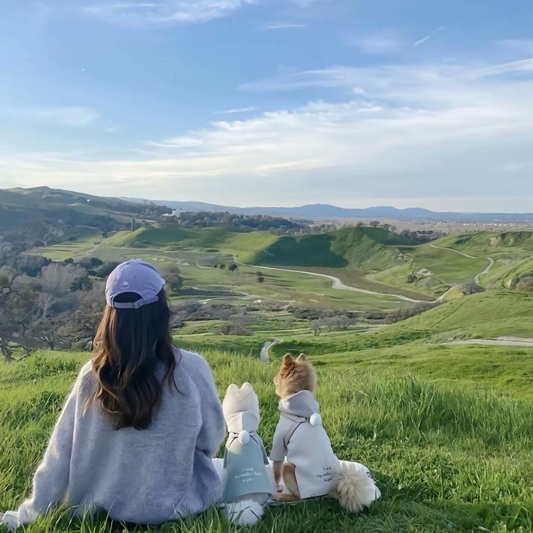 又菜又爱玩的小兔饼干🐰🍪