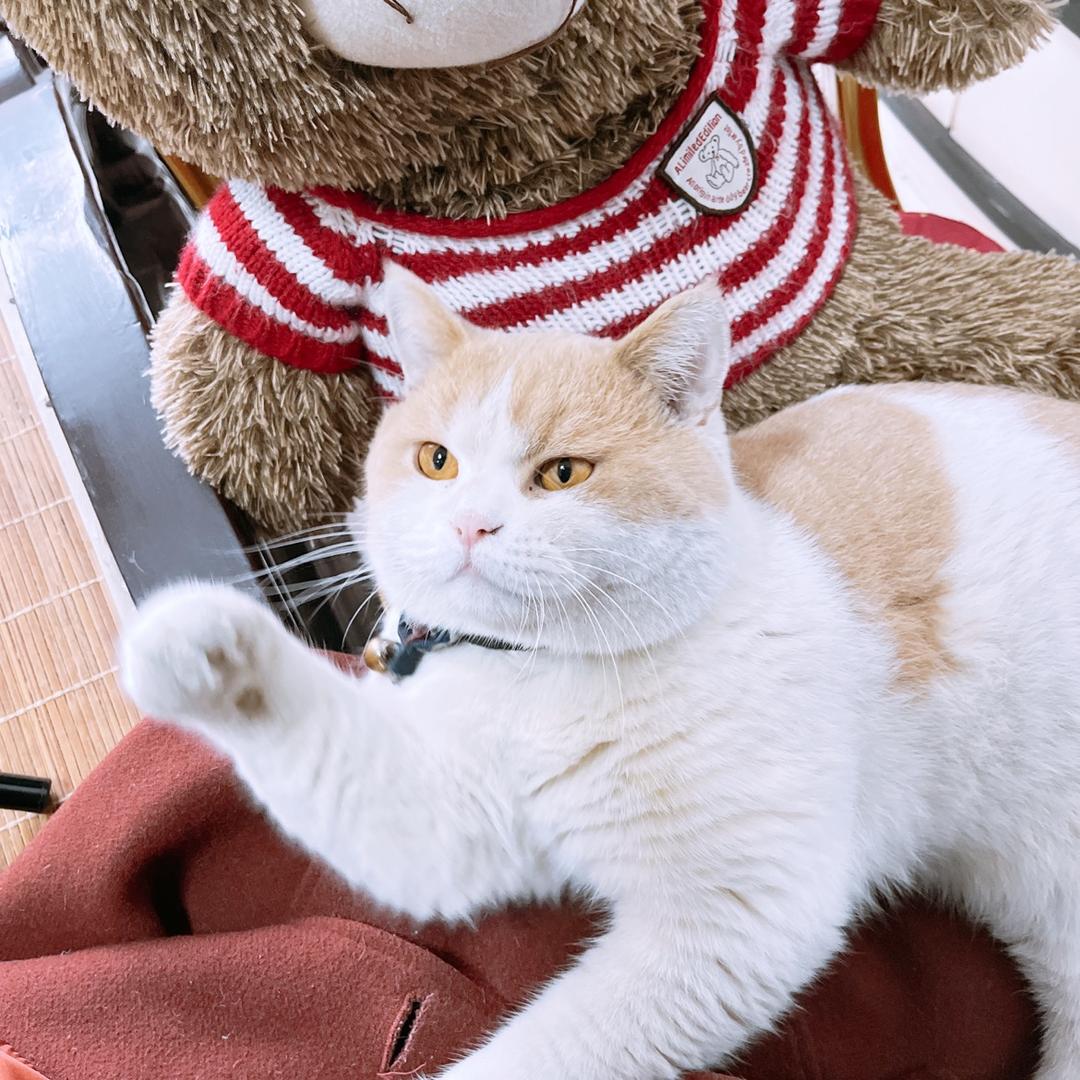 海安爱美食的杜杜