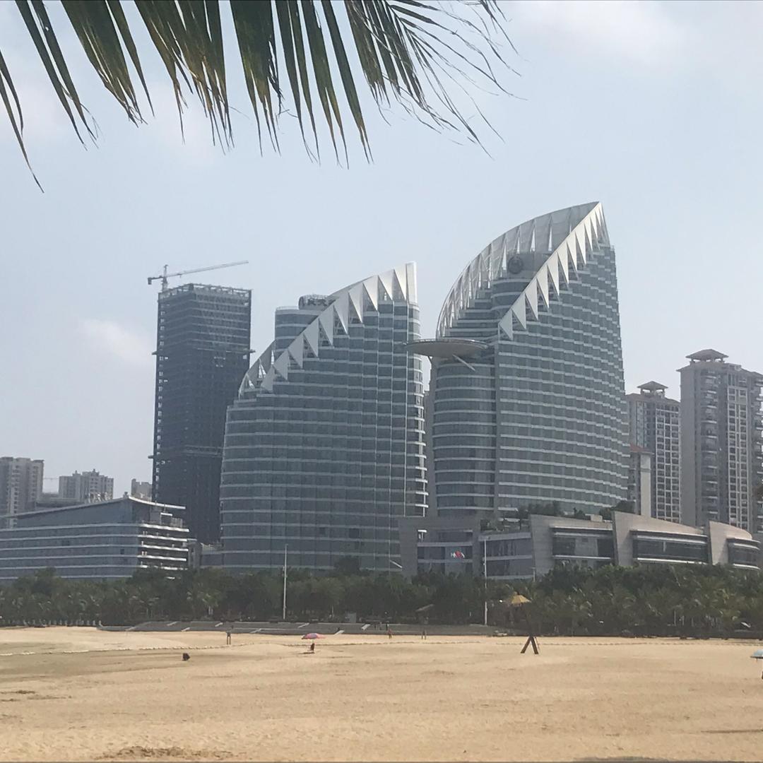 随风飘舞