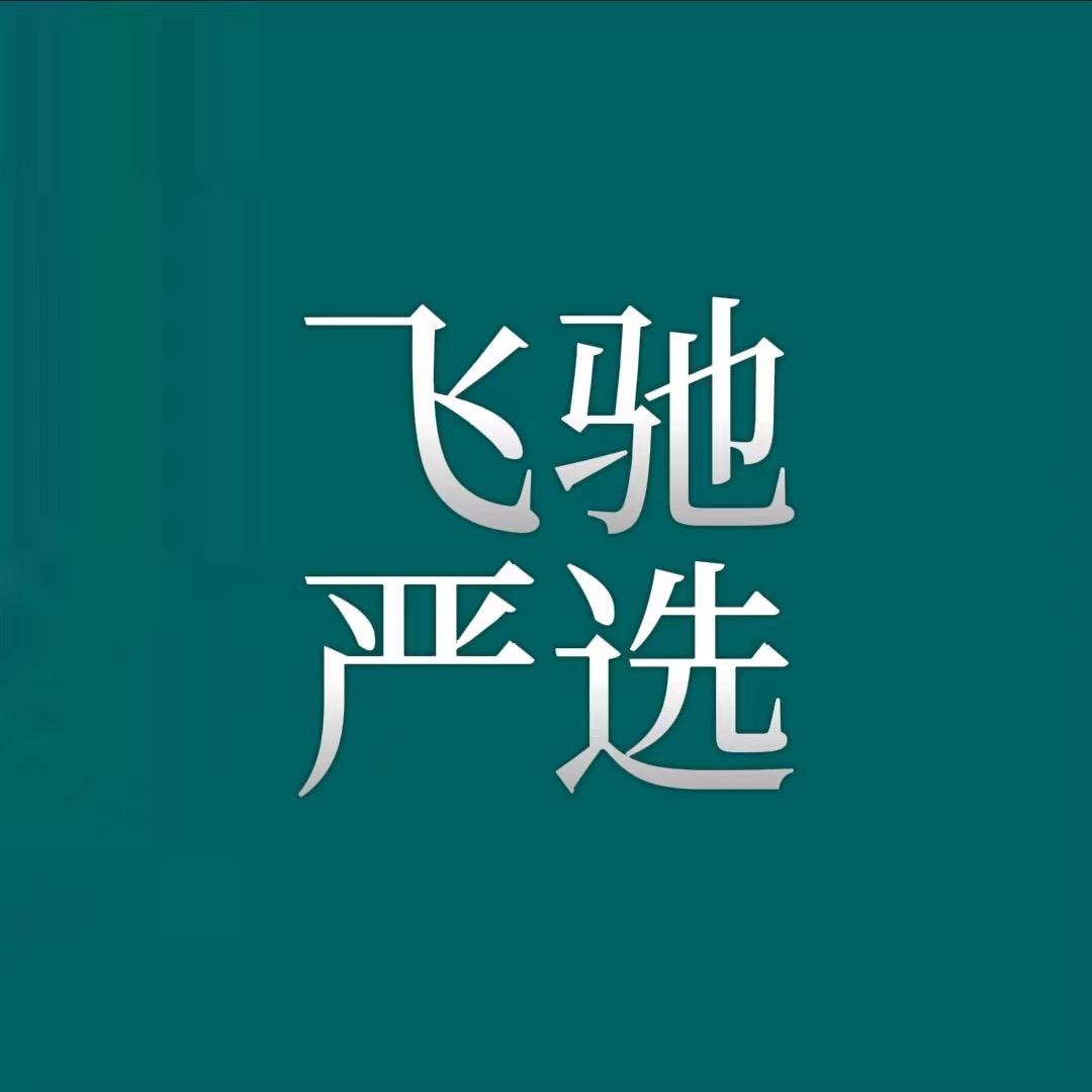 飞驰严选好物