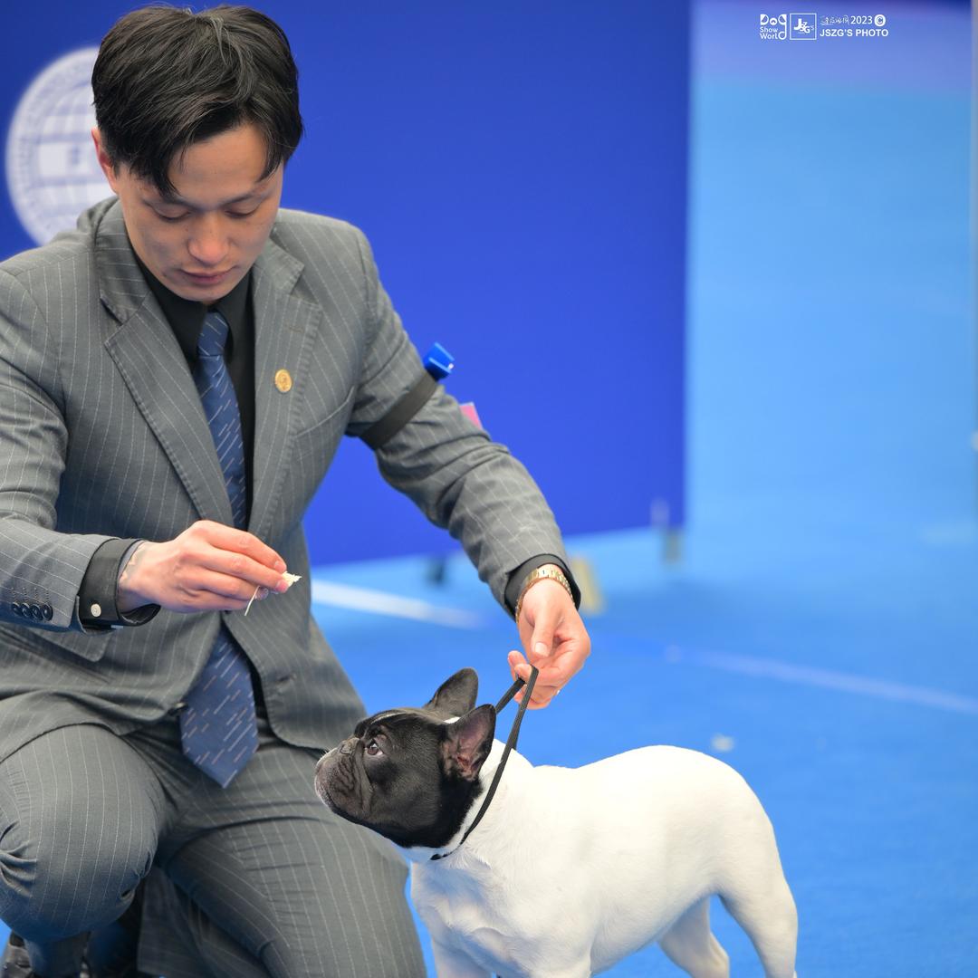 子孞法斗