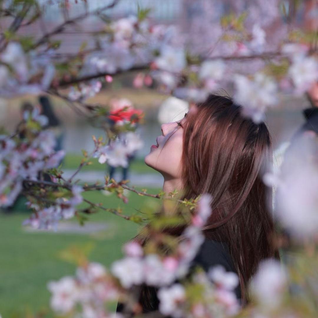 生如夏花