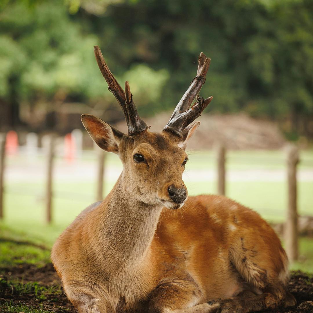 润元养生滋补堂