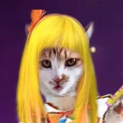 专业排毒·狗都不送😡