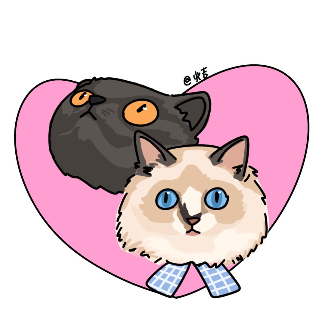 北吉（宠物版）