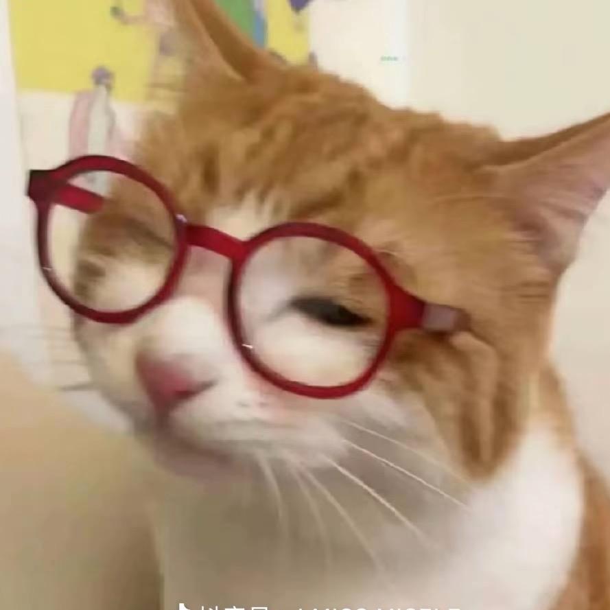 没想到居然有人