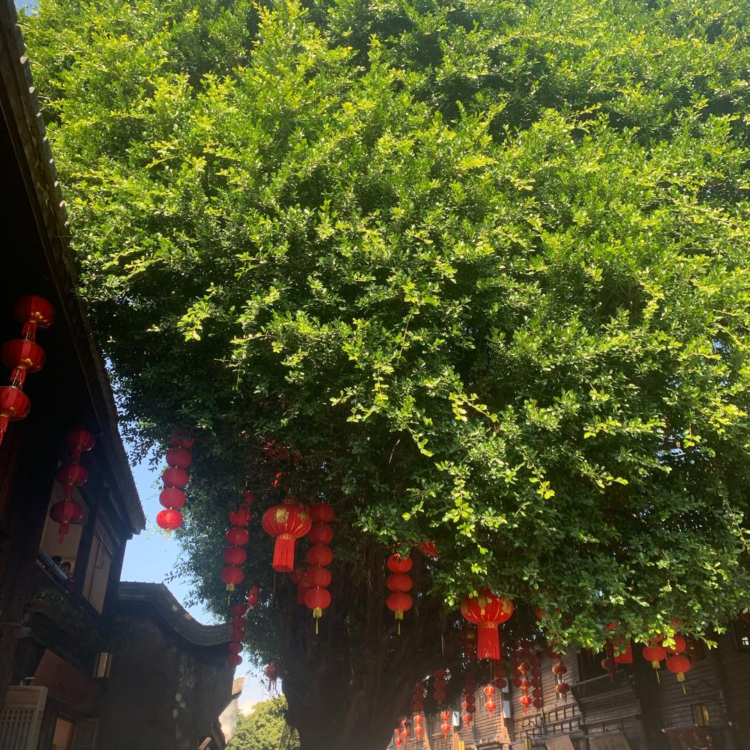 财源滚滚