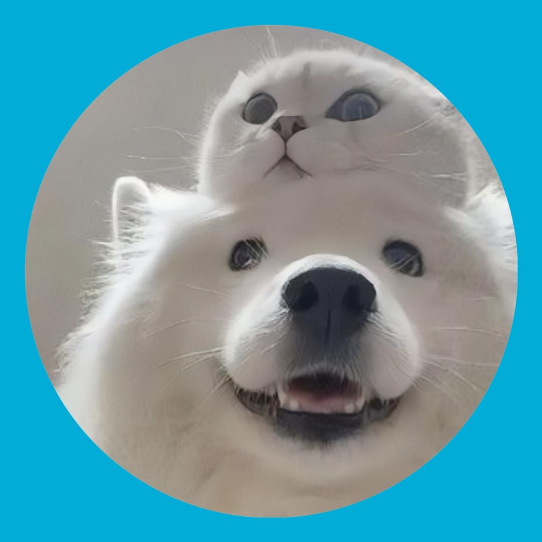 少来管我