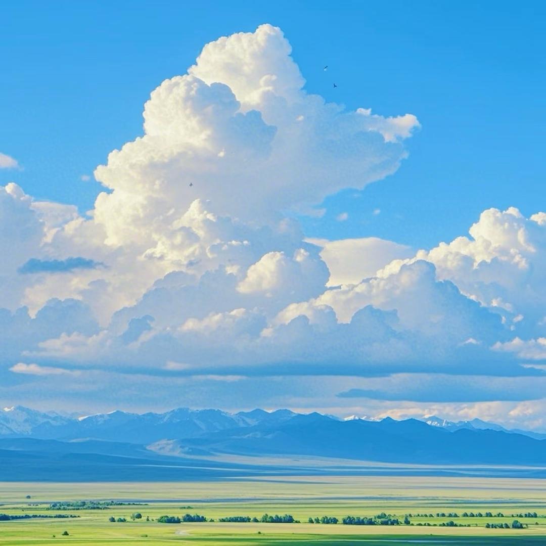 央央向前冲😘～