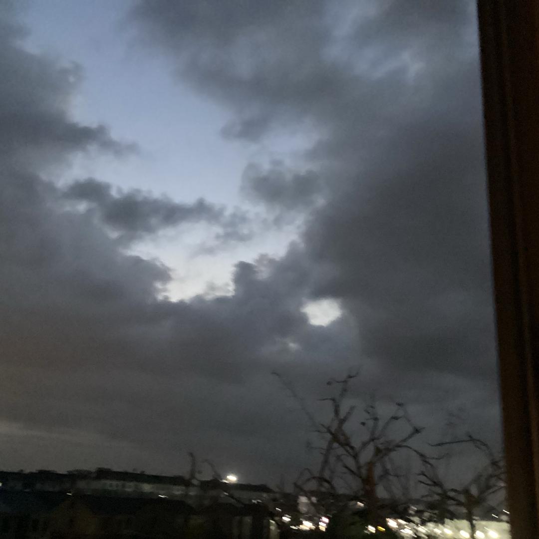 悦悦