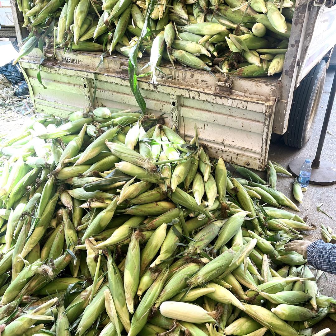 傲谷水果百货店