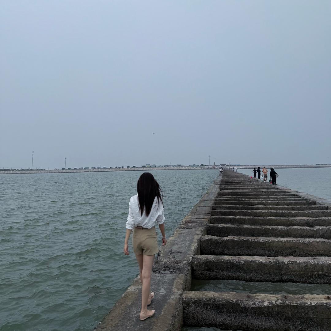 皮蛋Solo粥