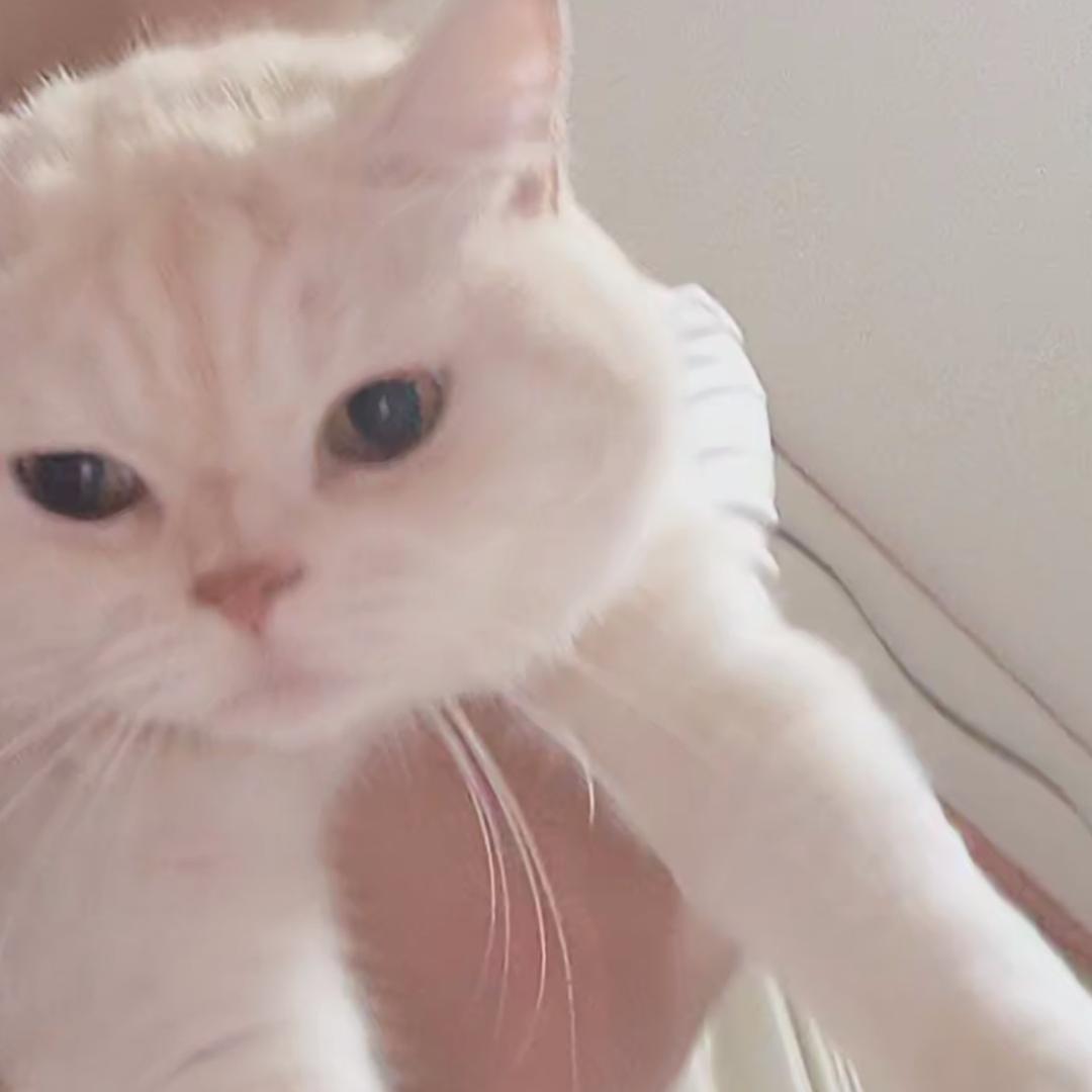 世间无事人