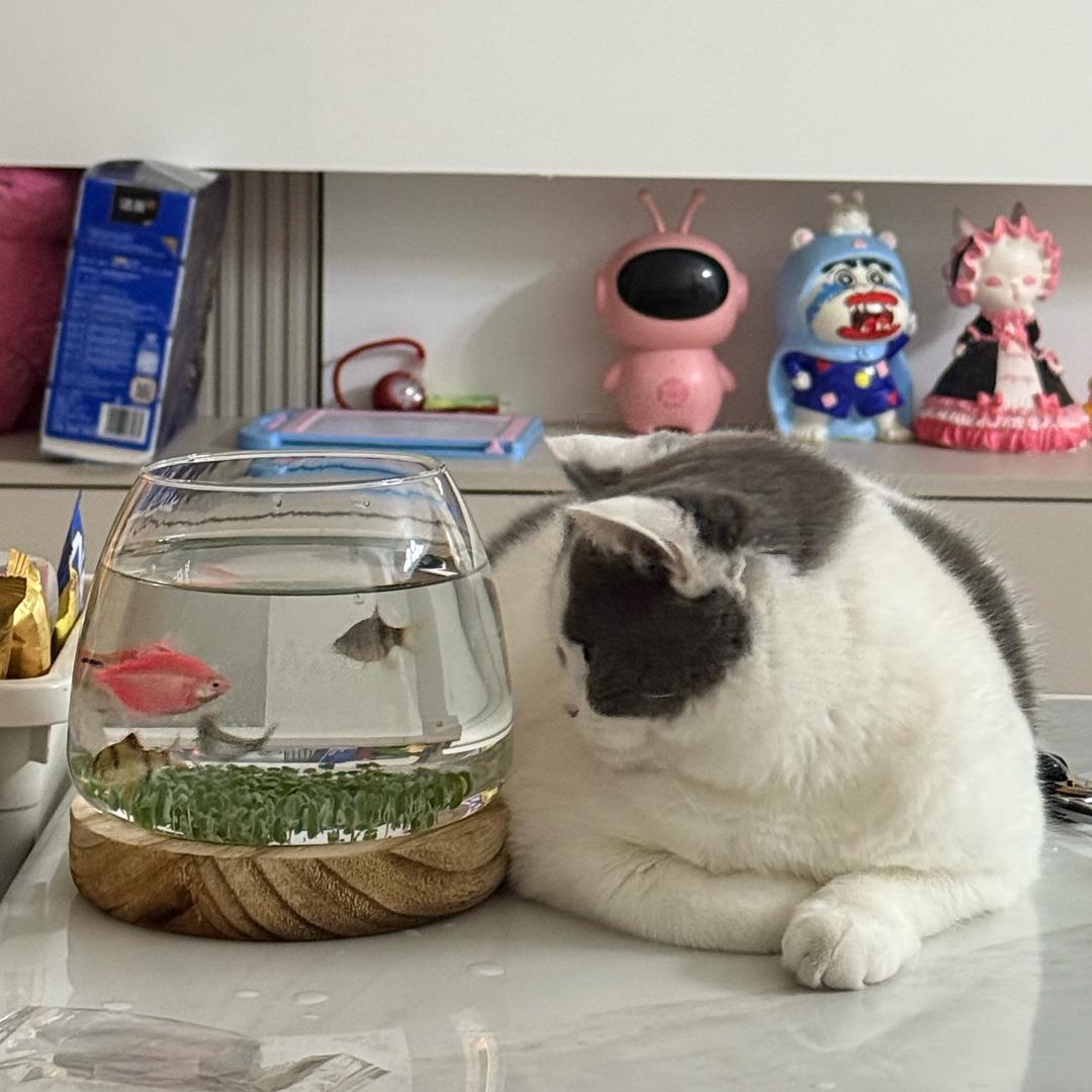 及時行樂