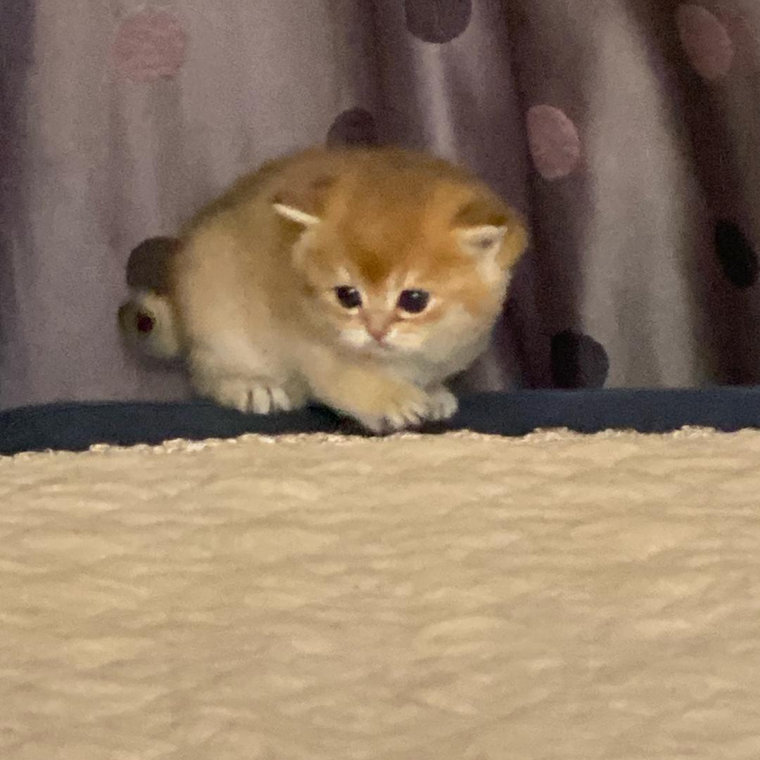 琉璃