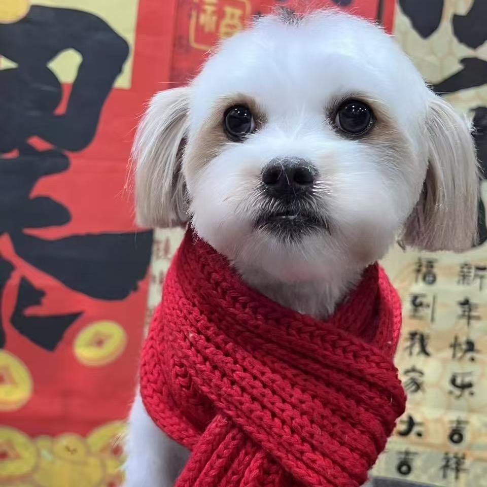 美丽人生