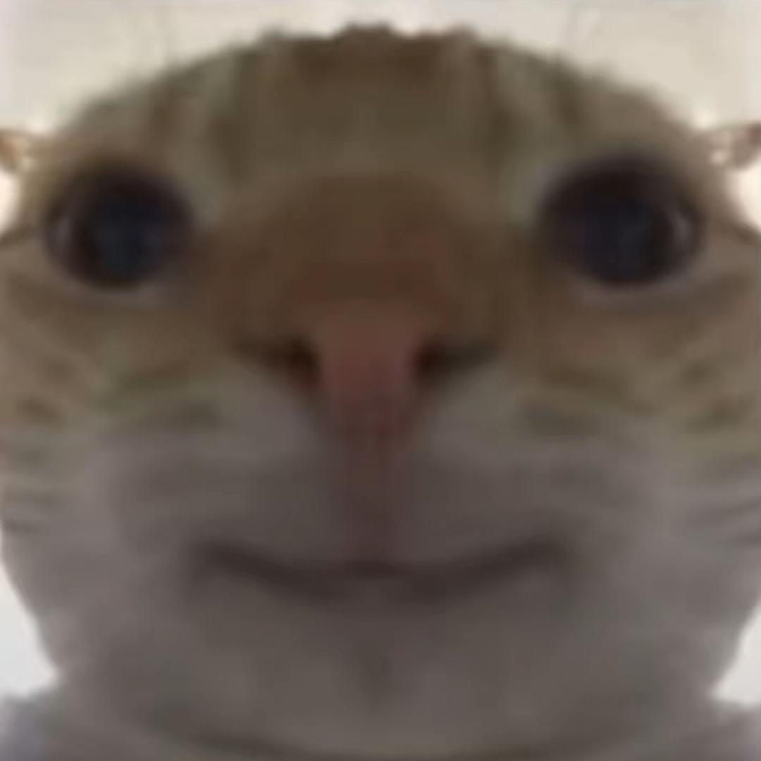 白sir（三角洲行动）