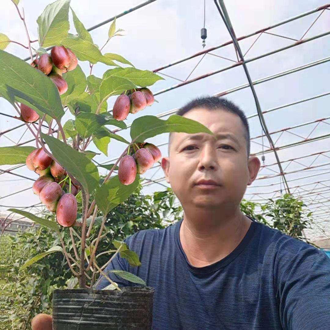 护花人春意浓果树苗木专卖店