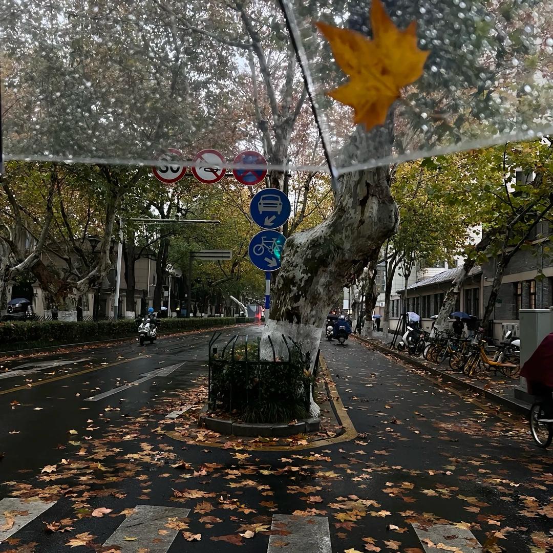 在行走中成长。