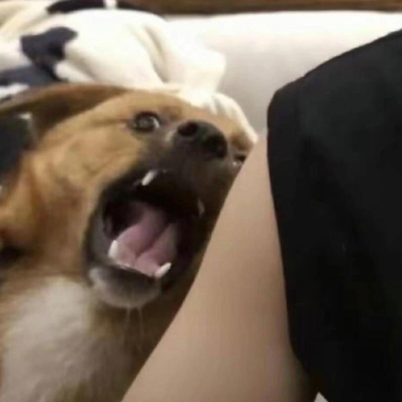 多多多指教