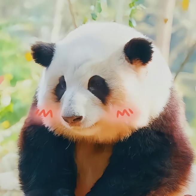 扣子