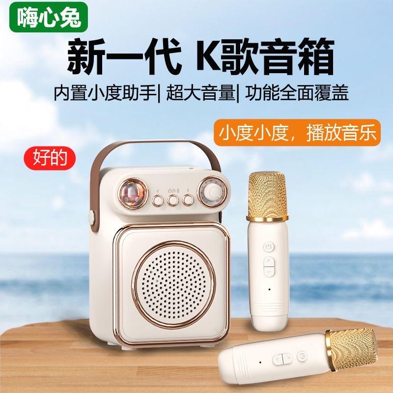 佳安乐音响