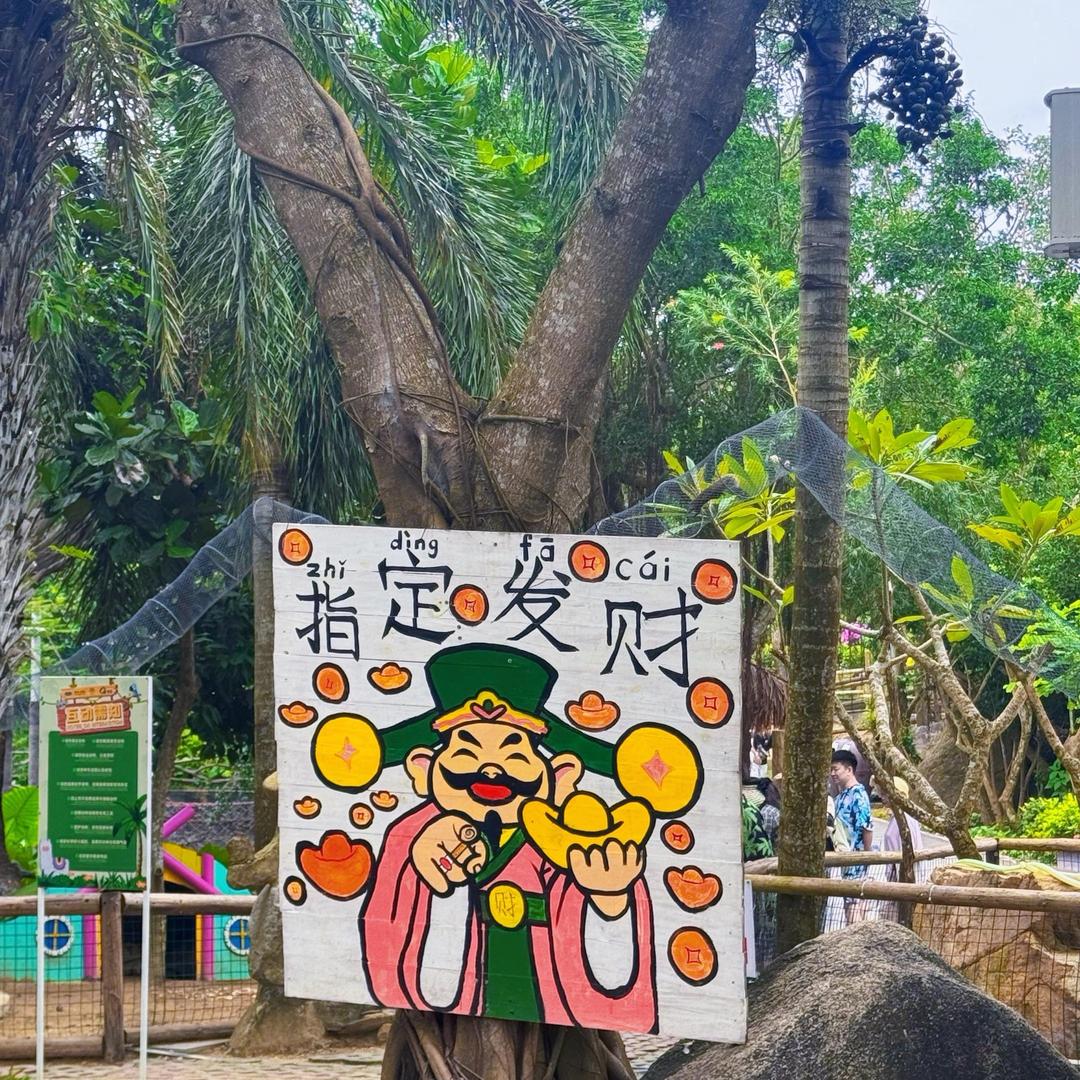发财💰