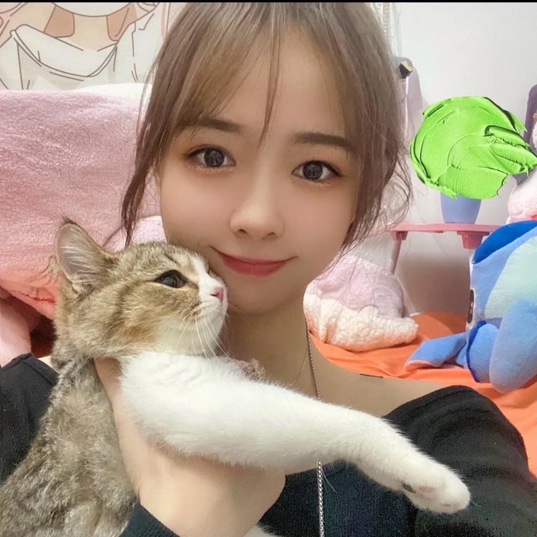 卡夫卡的熊